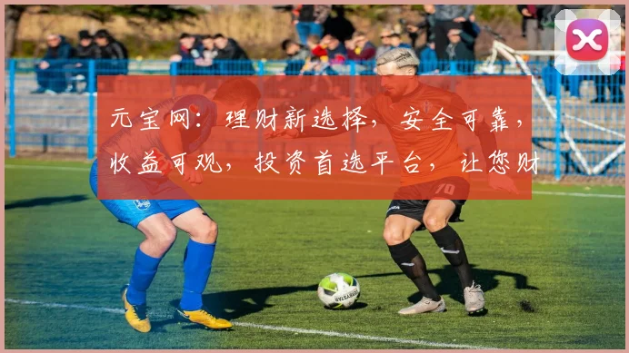 元宝网：理财新选择，安全可靠，收益可观，投资首选平台，让您财富增值